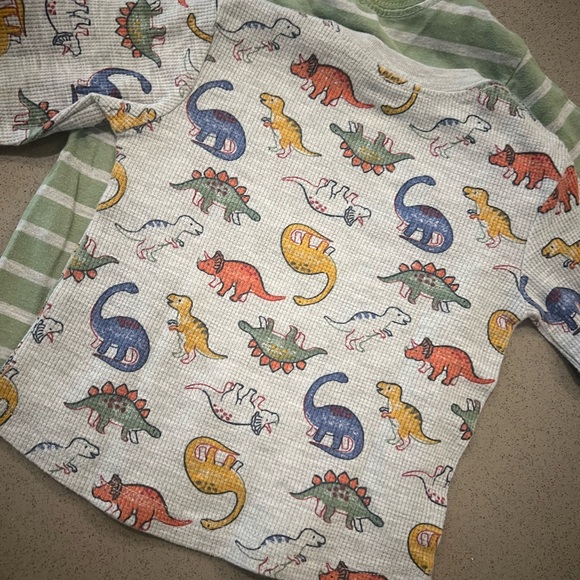 Long sleeve dinosaur tee shirt - Picture 2 of 6